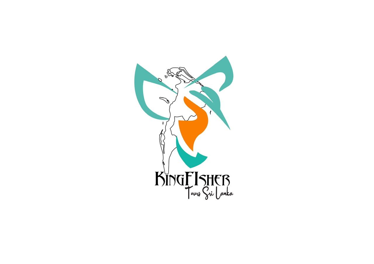 Kingfisher Tours Logo